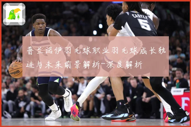 普兰诺伊羽毛球职业羽毛球成长轨迹与未来前景解析-深度解析