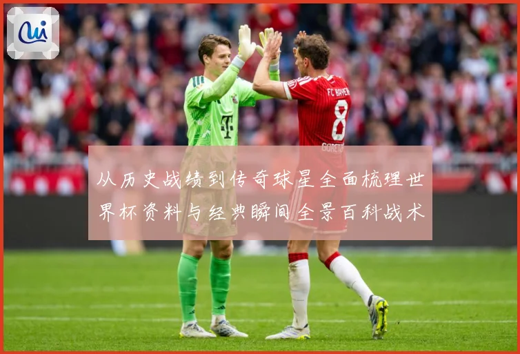 从历史战绩到传奇球星全面梳理世界杯资料与经典瞬间全景百科战术观察-深度解析
