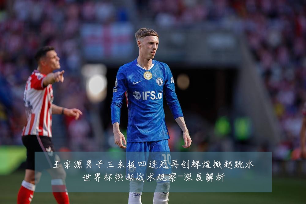 王宗源男子三米板四连冠再创辉煌掀起跳水世界杯热潮战术观察-深度解析