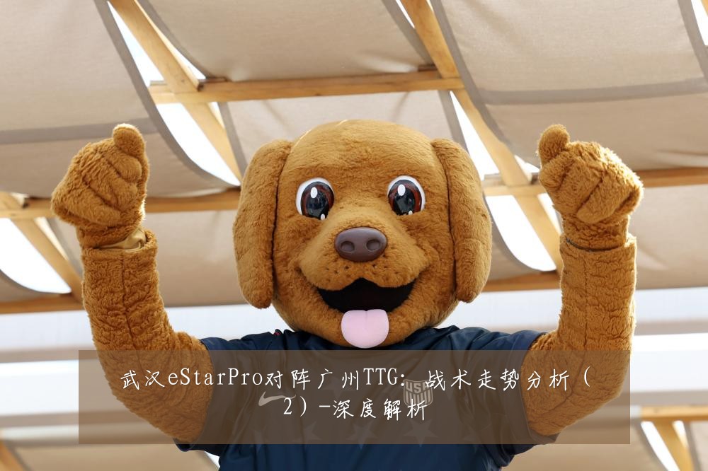 武汉eStarPro对阵广州TTG：战术走势分析（2）-深度解析