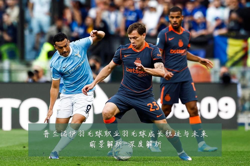 普兰诺伊羽毛球职业羽毛球成长轨迹与未来前景解析-深度解析