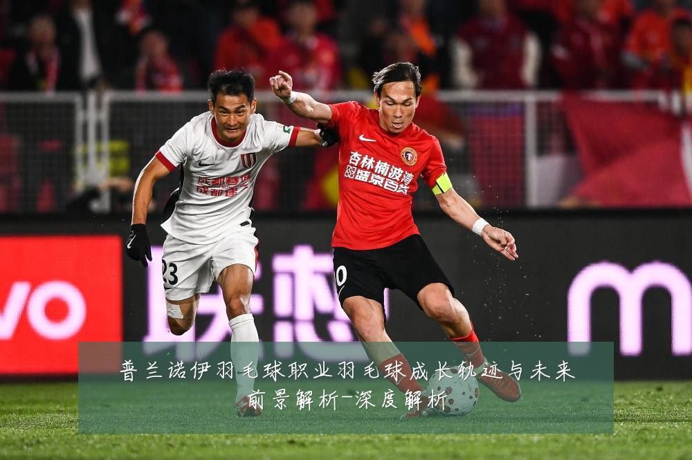 普兰诺伊羽毛球职业羽毛球成长轨迹与未来前景解析-深度解析