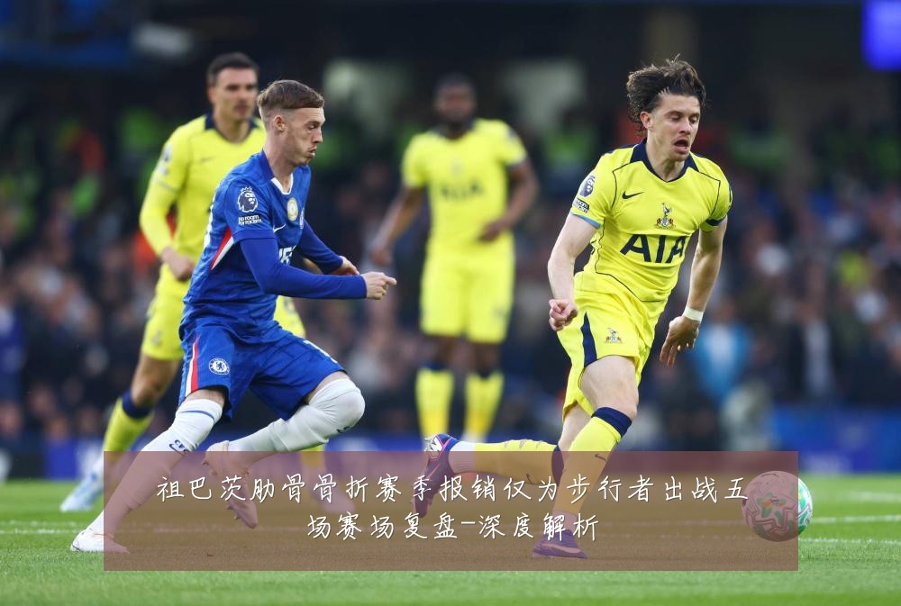 祖巴茨肋骨骨折赛季报销仅为步行者出战五场赛场复盘-深度解析